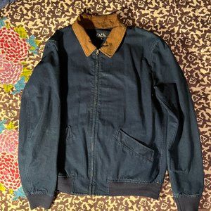 APC Blue Bomber with Light Brown Collar